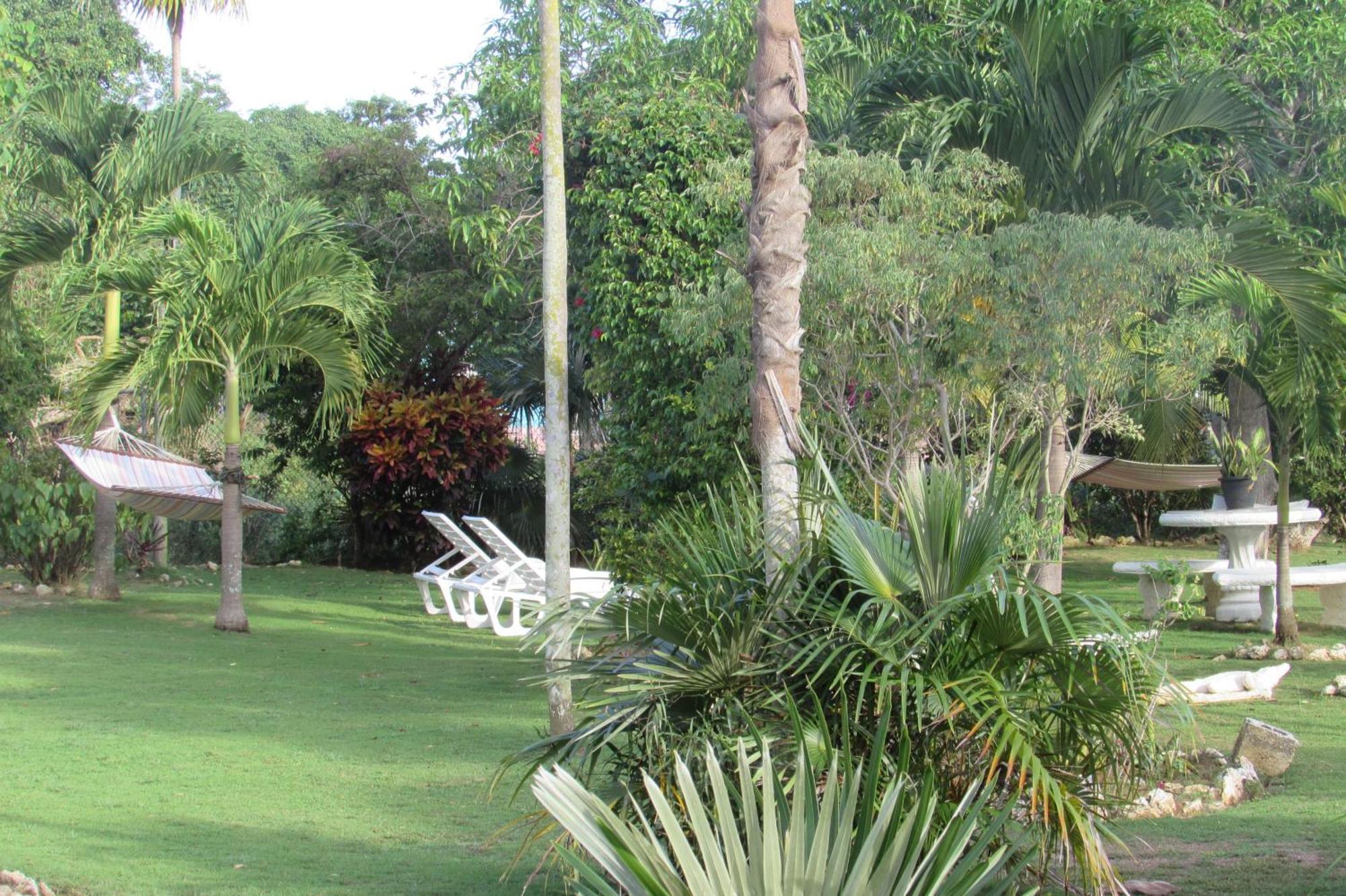 Nelsons Retreat Hotel Negril Exterior photo